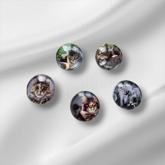 5 kpl kustomoituja lasimagneetteja omalla kuvalla